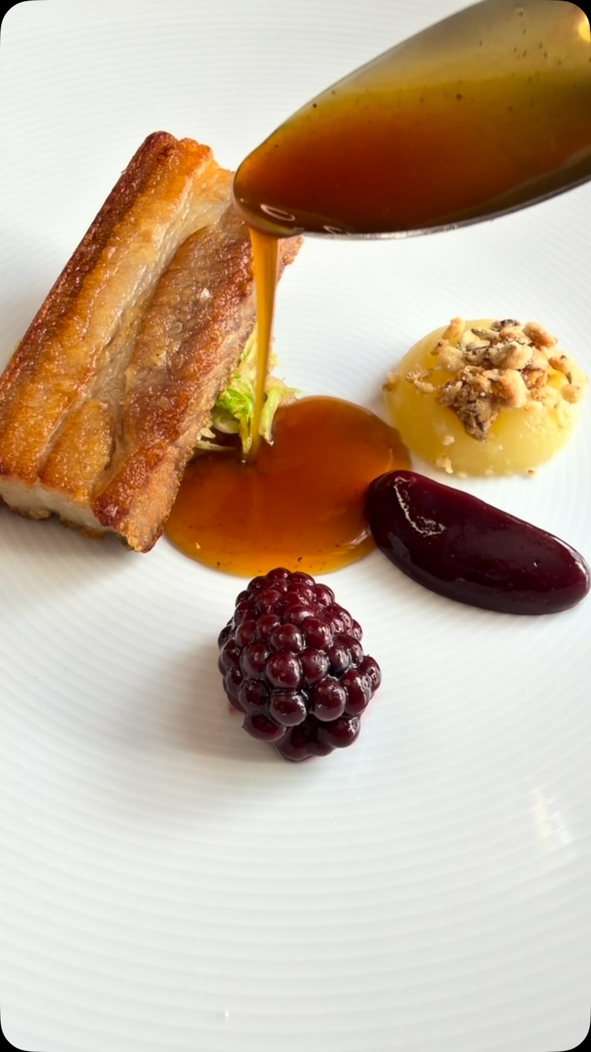 Pork Sauce with Apple Cider Vinegar & Honey