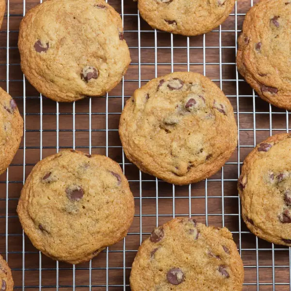 Chewy Chocolate Chip Cookies